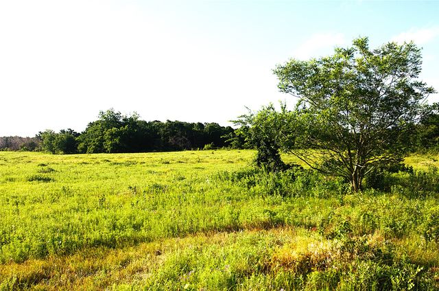316 Flowing Wells Road, Pottsboro, TX 75076