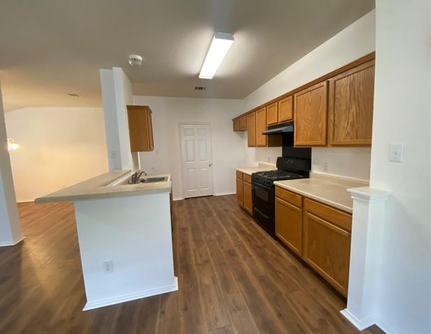 1119 Burgess DR, Leander, TX 78641