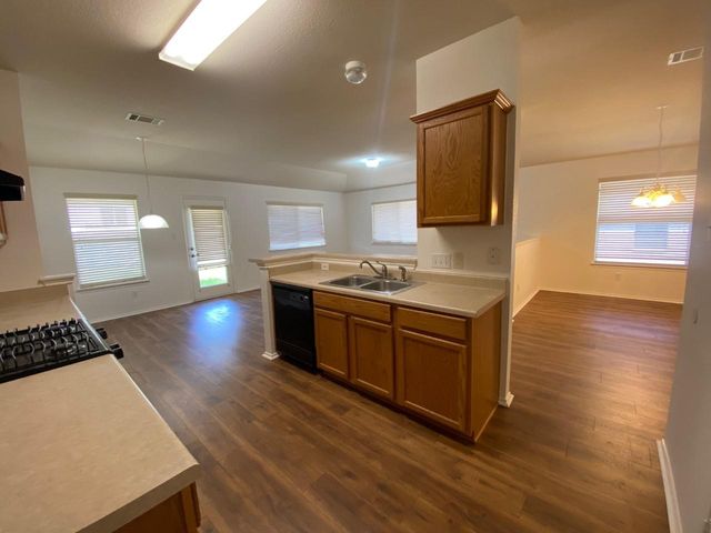 1119 Burgess DR, Leander, TX 78641