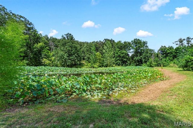 9536 Three Oaks Ln, Bloomsdale, MO 63627