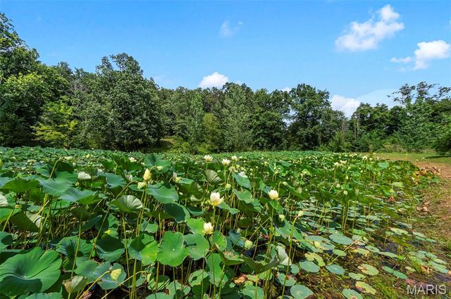9536 Three Oaks Ln, Bloomsdale, MO 63627