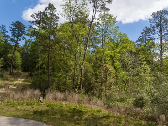 1 Sandstone Lane, Huntsville, TX 77340