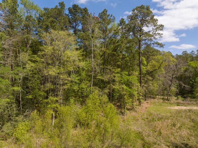 1 Sandstone Lane, Huntsville, TX 77340