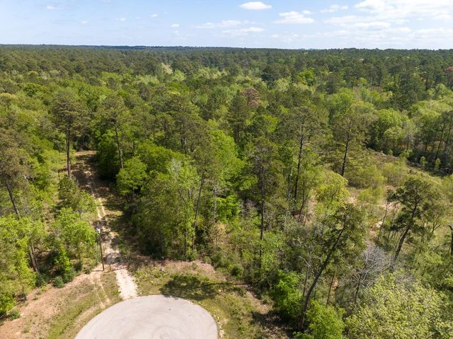 1 Sandstone Lane, Huntsville, TX 77340