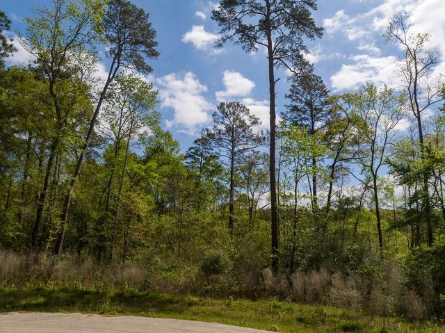 1 Sandstone Lane, Huntsville, TX 77340