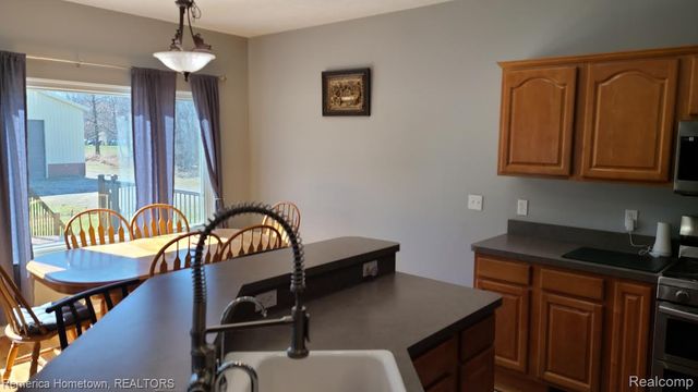 11133 Hannah Jane Drive, Handy Township, MI 48836