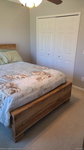 11133 Hannah Jane Drive, Handy Township, MI 48836