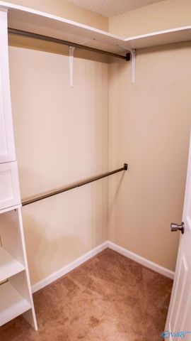 101 Balsam Poplar Way, Harvest, AL 35749