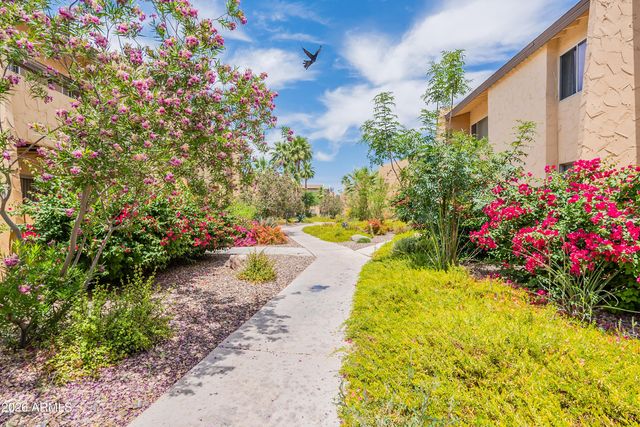 8055 E THOMAS Road H102, Scottsdale, AZ 85251