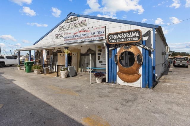 1700 HUNTER LANE, Tarpon Springs, FL 34689