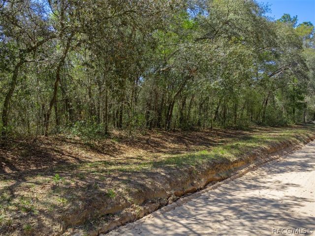 468 E Nicholas Street, Hernando, FL 34442