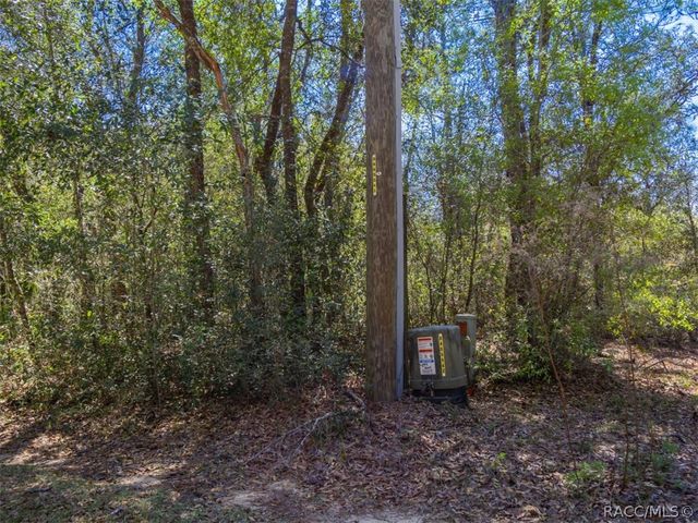 468 E Nicholas Street, Hernando, FL 34442