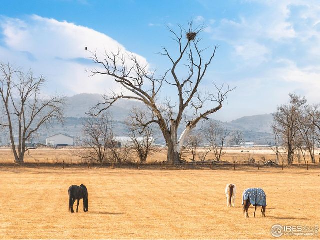 523 Nesting Eagles Way, Berthoud, CO 80513