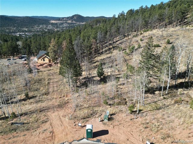 13 Blue Haven Pl, Woodland Park, CO 80863