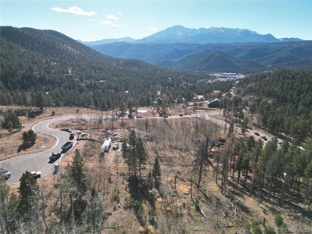 13 Blue Haven Pl, Woodland Park, CO 80863