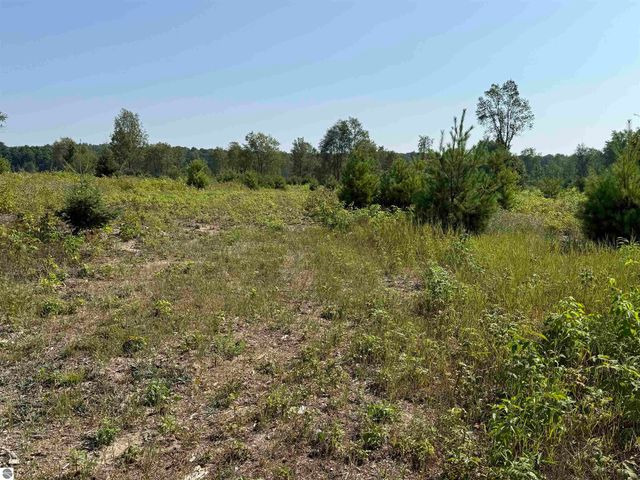 Parcel A7 S Bright Road, Maple City, MI 49664