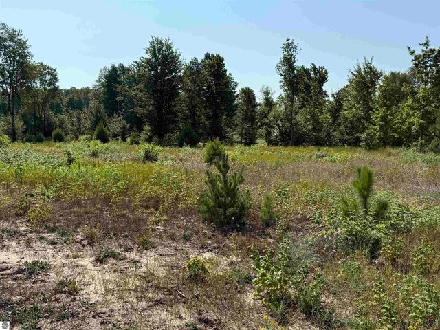 Parcel A7 S Bright Road, Maple City, MI 49664