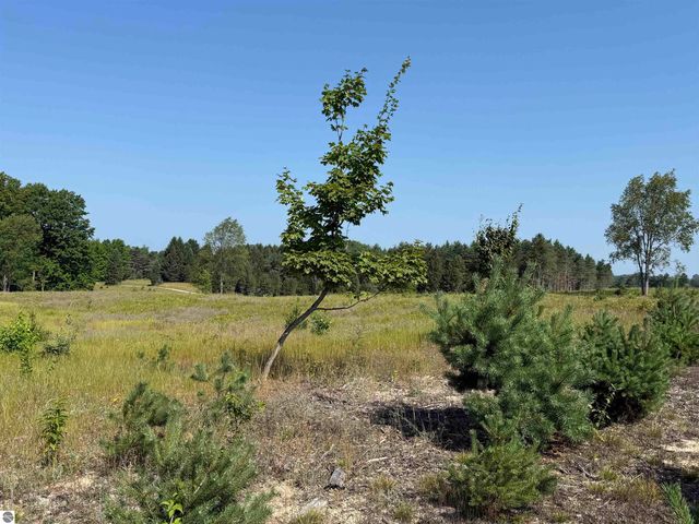 Parcel A7 S Bright Road, Maple City, MI 49664