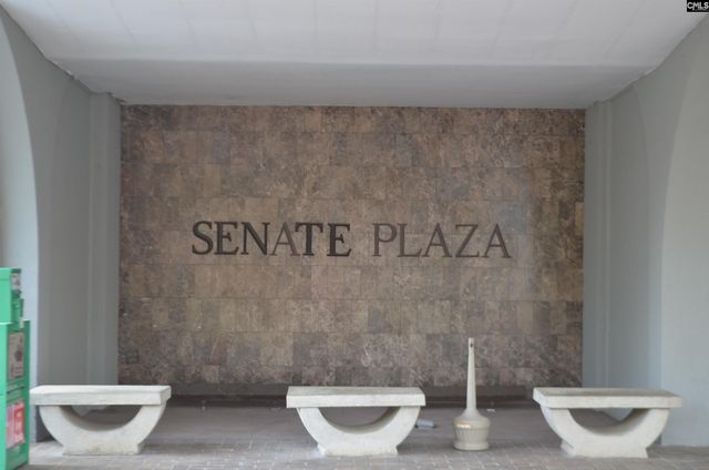 1520 Senate Street 116 | 11F, Columbia, SC 29201