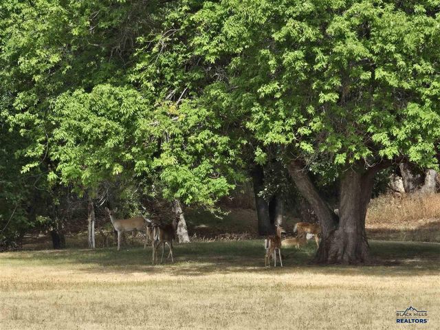 1920 Mica Drive, Spearfish, SD 57783