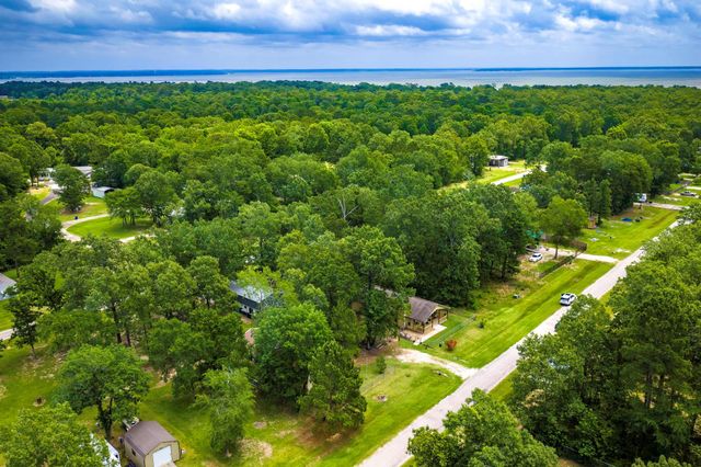 819 Hidden Oaks Drive, Point Blank, TX 77364