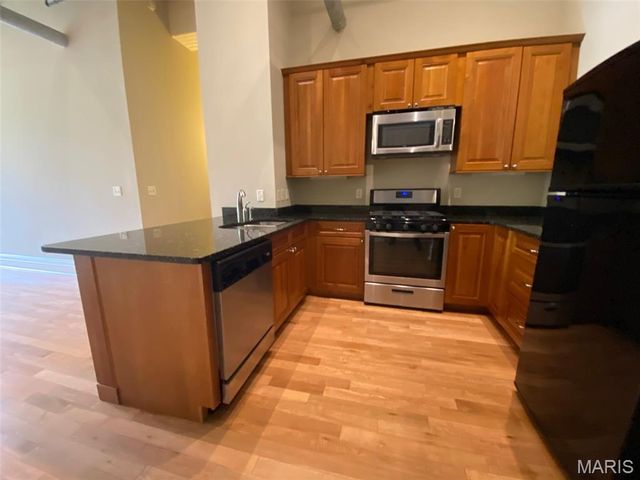 3556 Magnolia Avenue 202, St Louis, MO 63118