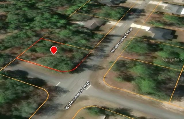 821 W HOMEWAY LOOP, Citrus Springs, FL 34434