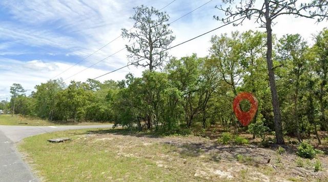 821 W HOMEWAY LOOP, Citrus Springs, FL 34434