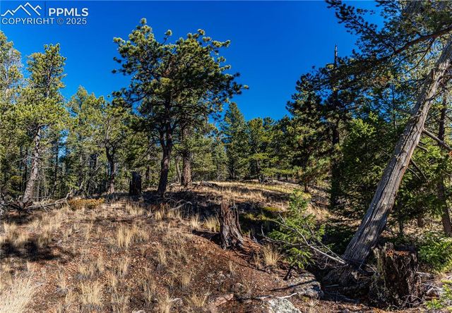 Arrowhead Road, Florissant, CO 80816