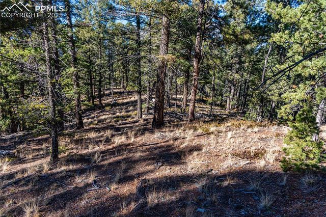 Arrowhead Road, Florissant, CO 80816