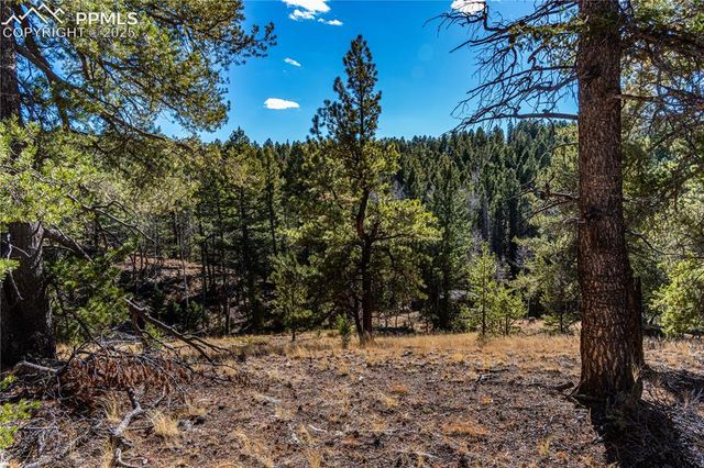 Arrowhead Road, Florissant, CO 80816
