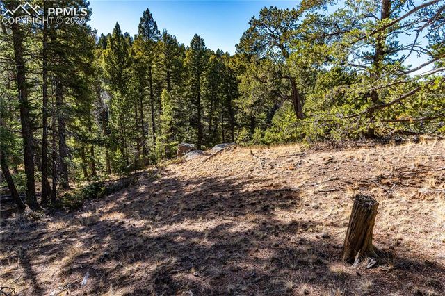 Arrowhead Road, Florissant, CO 80816