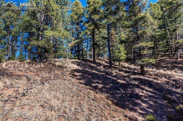 Arrowhead Road, Florissant, CO 80816