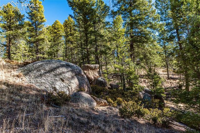 Arrowhead Road, Florissant, CO 80816