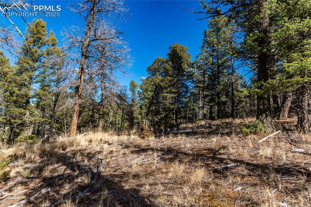 Arrowhead Road, Florissant, CO 80816