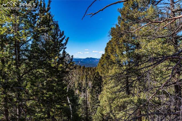 Arrowhead Road, Florissant, CO 80816