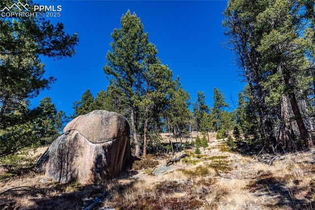 Arrowhead Road, Florissant, CO 80816