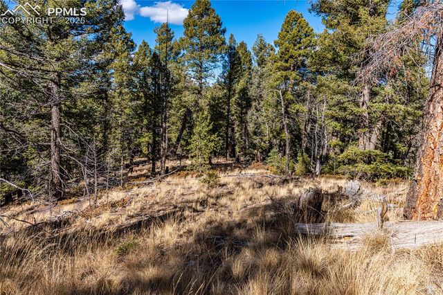 Arrowhead Road, Florissant, CO 80816