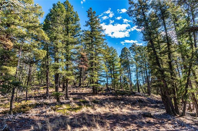 Arrowhead Road, Florissant, CO 80816