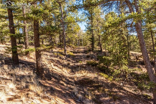 Arrowhead Road, Florissant, CO 80816