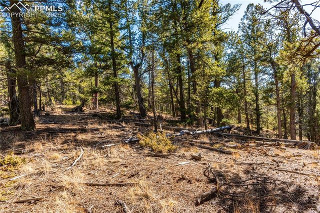 Arrowhead Road, Florissant, CO 80816
