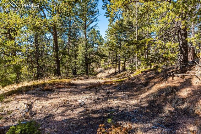 Arrowhead Road, Florissant, CO 80816