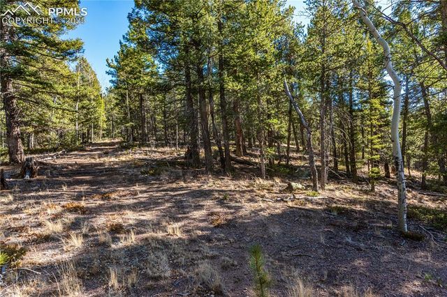 Arrowhead Road, Florissant, CO 80816