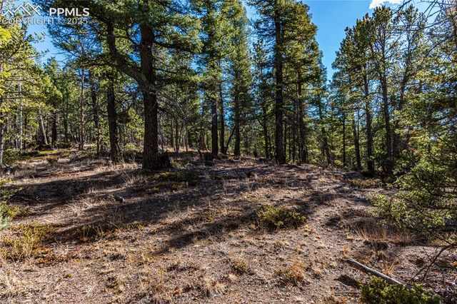 Arrowhead Road, Florissant, CO 80816