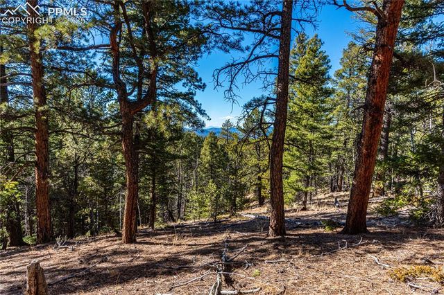 Arrowhead Road, Florissant, CO 80816