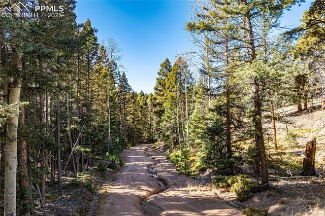 Arrowhead Road, Florissant, CO 80816