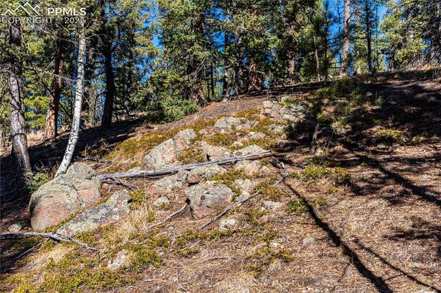 Arrowhead Road, Florissant, CO 80816