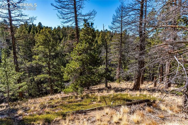 Arrowhead Road, Florissant, CO 80816