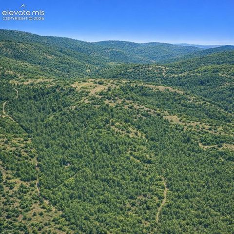 Arrowhead Road, Florissant, CO 80816