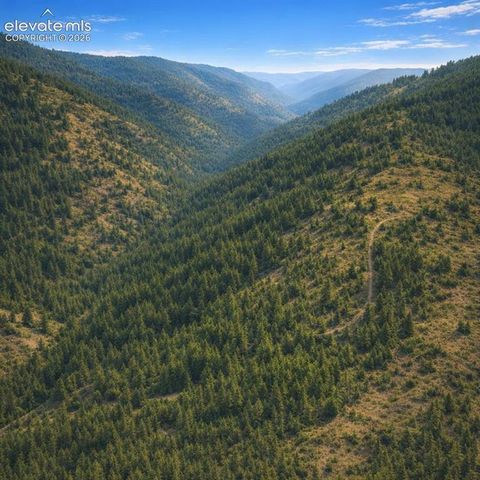 Arrowhead Road, Florissant, CO 80816